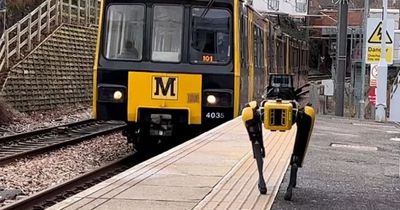 Commuters absolutely stunned to see robot dog trotting along train platform