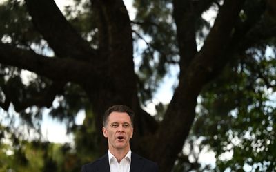 Labor set to govern NSW, with majority in doubt