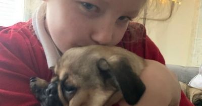 Girl, eight, in agony for three years waiting for teeth to be removed