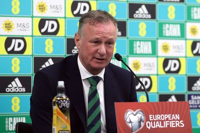 Michael O’Neill confident Northern Ireland can recover from Finland defeat