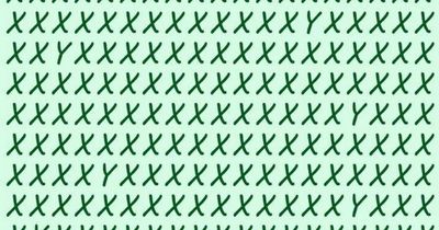 Only those with high IQ can spot 6 odd letters within 13 seconds in baffling brain teaser