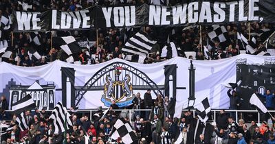 Newcastle United announce 'safe standing' area at St James' Park