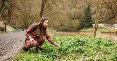 The Bristol cemetery that's a hotspot for foraging wild garlic