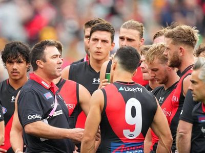 Undersized Bombers can cut down Suns' tall men: Scott