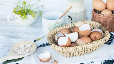 11 surprising uses for eggshells in your home and garden