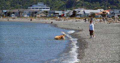 Mystery as disembodied human foot inside a shoe washes up on popular beach