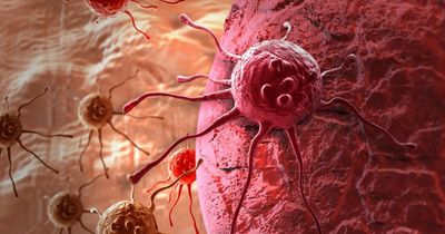 Drug developer Redx Pharma's $425m merger with Jounce Therapeutics off after takeover agreed
