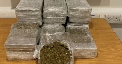 Man arrested as half a million euro worth of cannabis seized at Dublin Airport