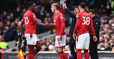 Sell, renew or run down - what Nottingham Forest should do with 12 players out of contract in 2024