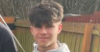 Police appeal launched for missing Lanarkshire teenager