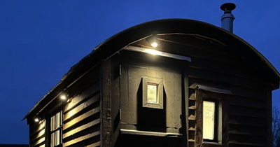 Handy Edinburgh local selling cosy shepherd's hut he built himself for £12,000