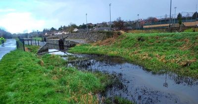 Newry Canal oil spill source must be found, councillor says