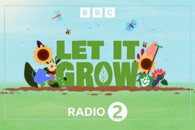 BBC Let it Grow: Cast and release date for new children's gardening podcast and TV show