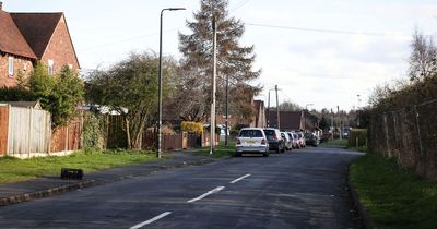 Police seize 17 dogs and search van after girl, 6, mauled in horror attack