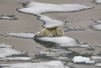 IPCC report appeals to all to salvage 1.5C goal