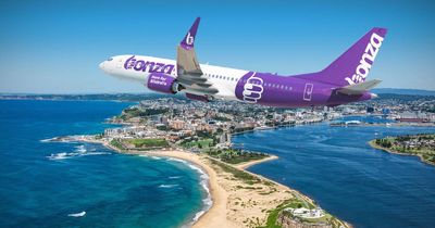 Bonza airline launches new Newcastle flights