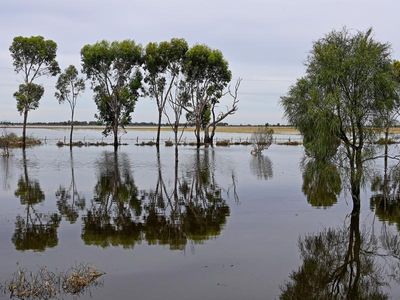 Big wet 'a stay of execution' for Aussie environment