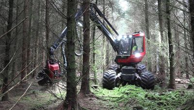 Zero interest in forestry among farmers, advisors warn minister