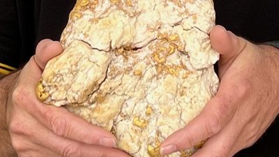 Gold prospector finds 2.6kg nugget worth $240k between Bendigo, Ballarat, St Arnaud