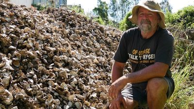 Nambucca River causes massive problems for oyster grower with three floods, sewage spills