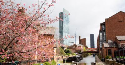 The most beautiful places you can see blossom in Manchester this spring