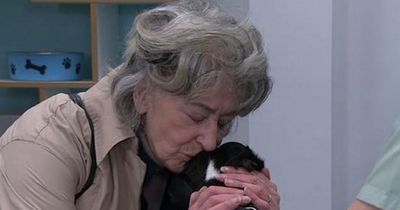Maureen Lipman's tears as death of Corrie pet brought back recent hard memories
