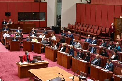 Greens, Coalition and entire crossbench unite to force inquiry into ‘broken’ FOI system