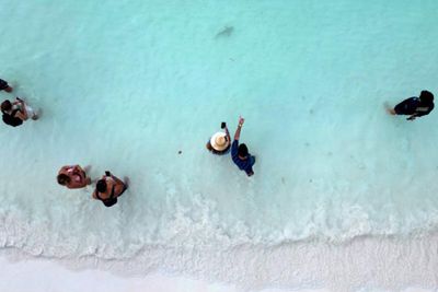Sharks and tourists share Maya Bay