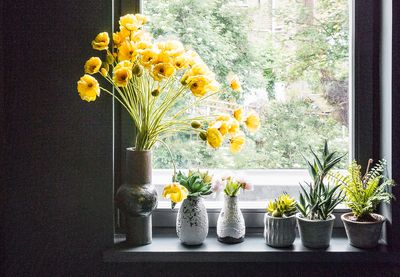 How to care for poppies in a vase - simple but strange advice for keeping these fragile flowers fresh
