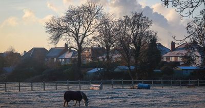 Nottinghamshire's day by day weather forecast as school holidays set to begin amid temperature rollercoaster