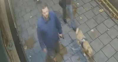Renewed appeal to find dog walker after man knocked unconscious in Redland attack