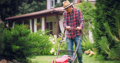 Garden experts' lawn mowing rule to stop weeds from spreading and grass looking brown