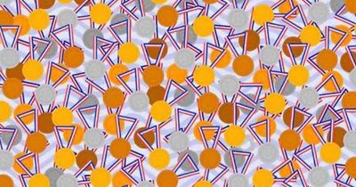 If you spot hairband hidden in baffling optical illusion in 13 seconds you're in top 3%