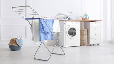 Clothes dryer vs clothes rack dryer — which is better?