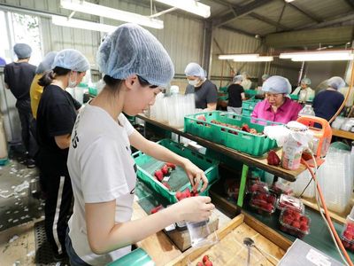 Temporary migrants to be granted more workplace rights