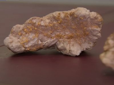 Amateur gold-digger finds record 4.6kg nugget worth hundreds of thousands of dollars