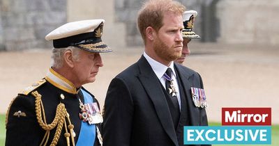 Prince Harry 'not as brave' as he seems as Charles meeting was 'not on agenda' - expert