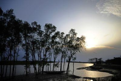 Bangladesh bans plastics in world's largest mangrove forest