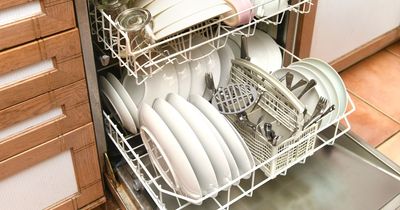 Running dishwasher on short cycle could save £200 million a year across UK households