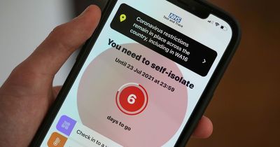 NHS Covid app for England and Wales decommissioned as number of people using it dwindles