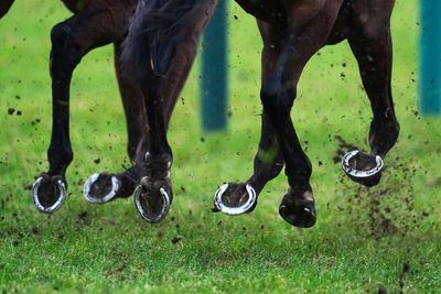 Woman, 25, dies at Michael Owen’s stables