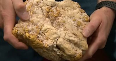 Huge golden nugget worth £130,000 uncovered by budget metal detector