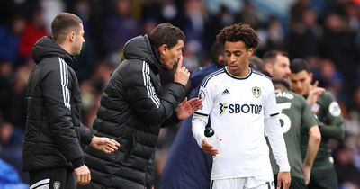 Javi Gracia's search begins for Leeds United answers on how to cope without Tyler Adams