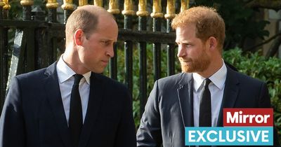 Prince William 'has no reason' to see Harry or have family time 'spoiled', says expert