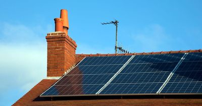 Glasgow council urged to ensure 'forced labour' solar panels are not used
