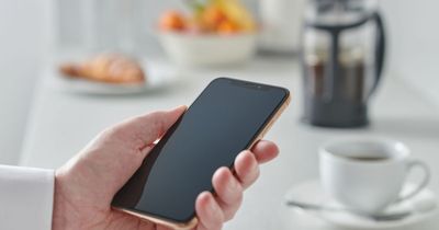 Little-known iPhone holiday hack will help you translate anything you want