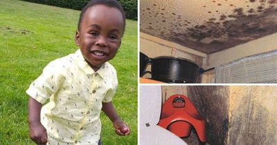 Mould seen as 'standard repair' by RBH worker a month before Awaab died despite pregnant mum's distress, damning report reveals