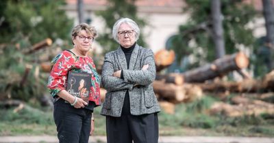 Residents' anger at Albert Hall tree chop plan