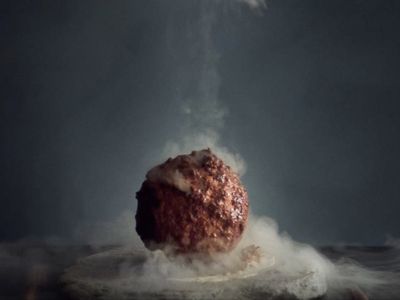 Company creates mammoth meatballs using DNA from extinct animal