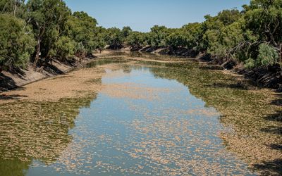 Minns heads to Menindee as NSW count continues